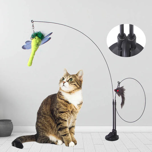 Funny Cat Toys Double Headed