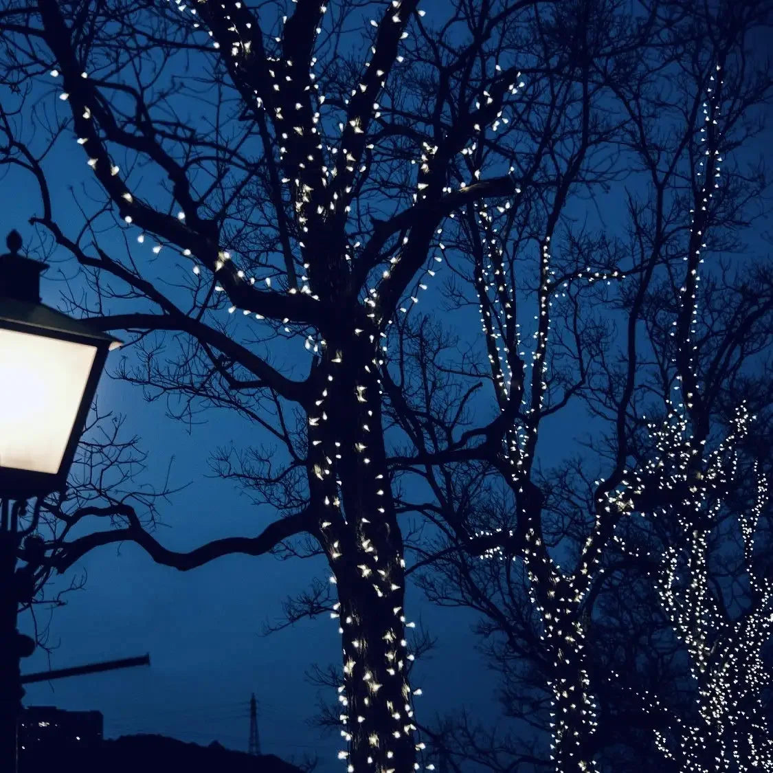 LED Solar String Light Fairy Outdoor Garden Lamp Christmas Garland