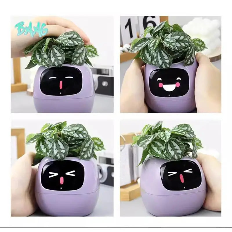 BAAG-AI Smart Plant Robot with 7 Sensors